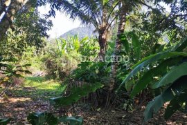 TERRENO RESIDENCIAL em UBATUBA - SP, PRAIA DA LAGOINHA